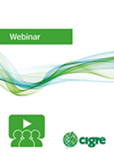 A review of governmental strategies on hydrogen