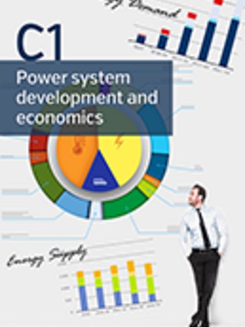 The global electricity network - Concept of study