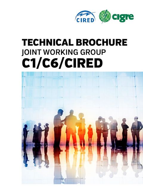 Optimal transmission and distribution investment decisions under increasing energy scenario uncertainty