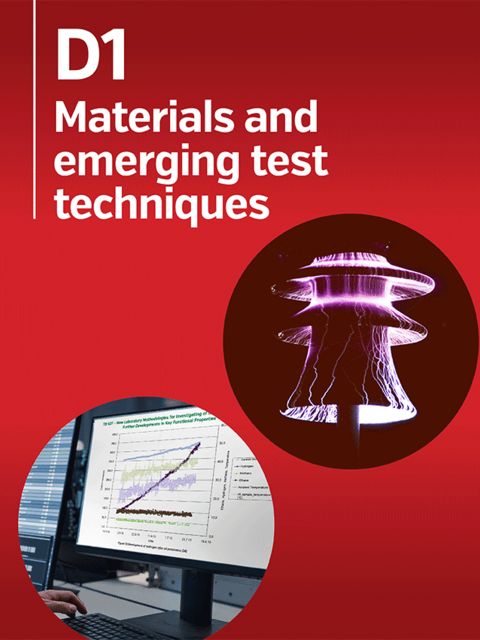 Further Investigations on a DC Tracking & Erosion Test