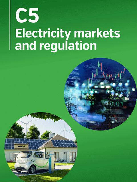 Wholesale market price caps