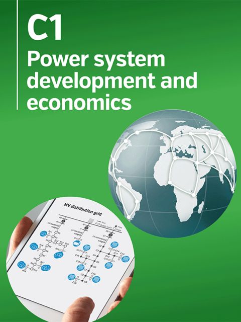 Planning Issues for newly industrialized and developing countries (Africa)