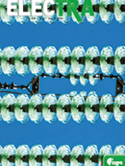 Radiation ageing of polymeric insulating materials and relevant testing