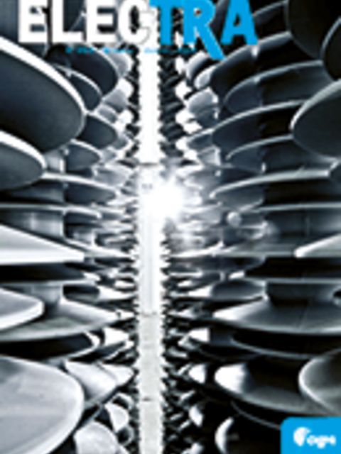 SmartGrids: Motivation, Stakes and Perspectives