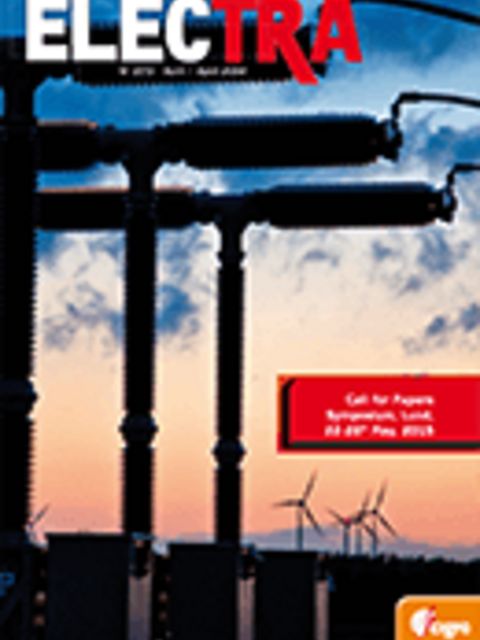 Guide for Minimizing the Damage from Stator Winding Ground Faults on Hydrogenerators