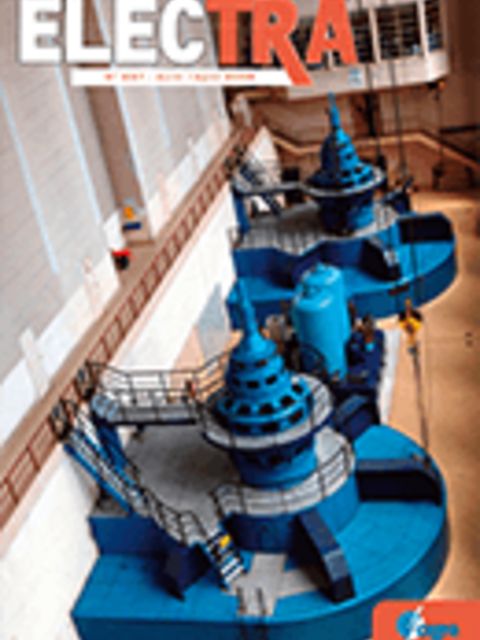 Distribution Systems and Dispersed Generation - Strategy, Activities and Future Developments