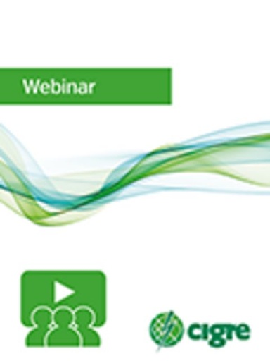 [WBN033] A review of governmental strategies on hydrogen