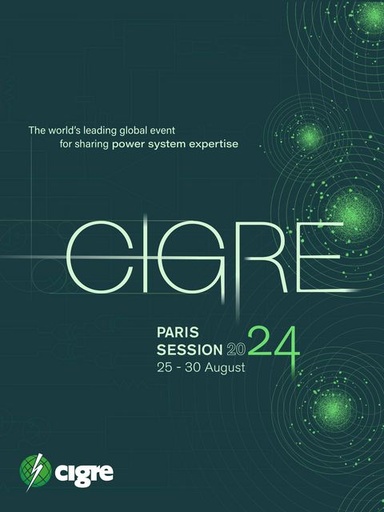 [SESSION2024_papers0] Session 2024 Papers & Proceedings - info