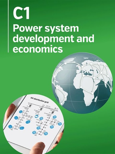 [882] Closing the gap in understanding between stakeholders and electrical energy specialists