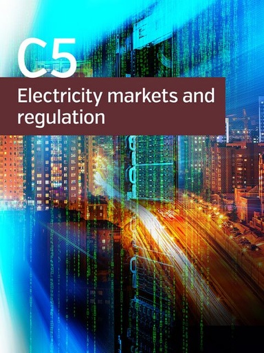 [753] Wholesale market price caps
