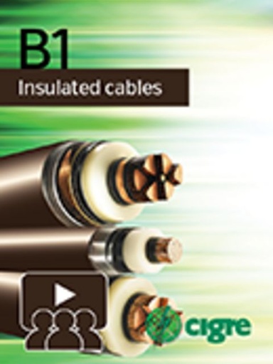 [WBN039] Recommendations for mechanical testing of submarine cables for dynamic applications