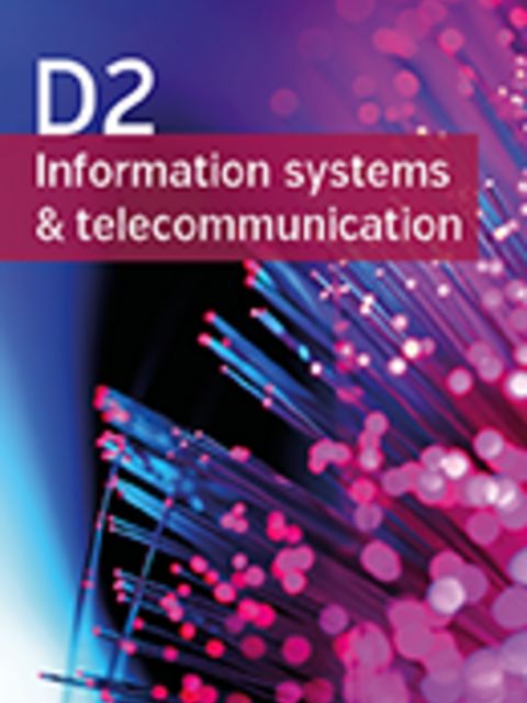 Strategic Priorities for Information Systems Issues