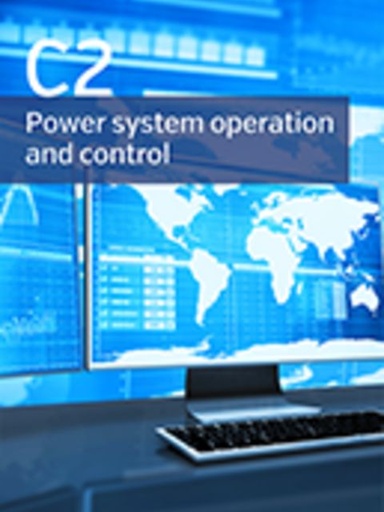 [WGR_281_1] VIU/TSO/RTO operations performance: GOALS, KPI'S, their quantification and use at different levels of decision making