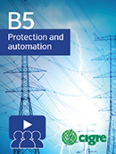 [WBN035] Network Protection Performance Audits