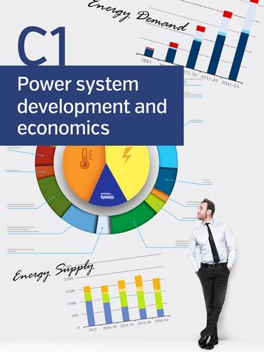 [056] Environmental aspects of links between power system planners and decision makers in the energy area