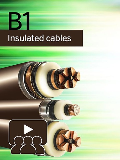 [WBN049] Installation of High Voltage (HV) Cable Systems