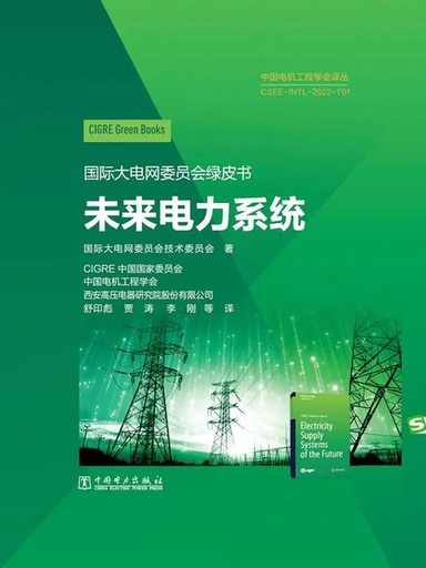 [GB 8 CN] Electricity Supply Systems of the Future - Chinese edition