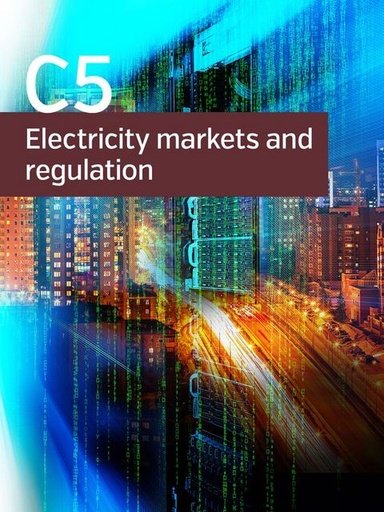 [985] Regulatory Framework on Modernization and Extension of Useful Life of Transmission/Distribution