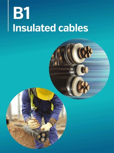 [994] Enhancing QA/QC Procedures for HV and EHV Cable Systems