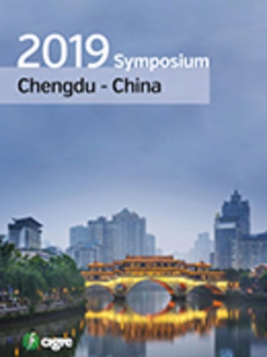 [SYMP_CHEN_2019] Symposium Chengdu - 2019
